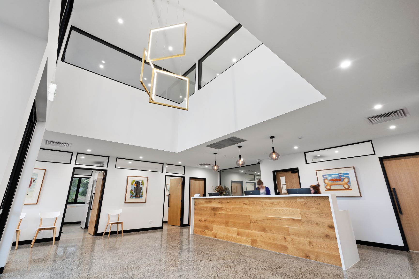 Custom Light Pendant for Geelong Vet Contessa Lighting